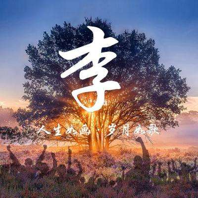 英雄神斗曲泰特拉的传说台服下载